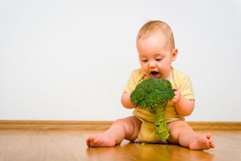 Baby eating broccoli